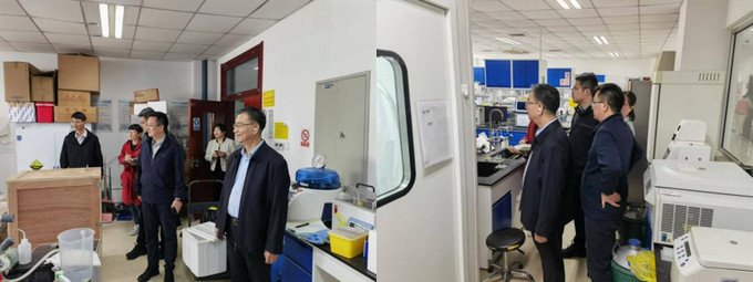 1729120362666001058.jpg 2.jpg