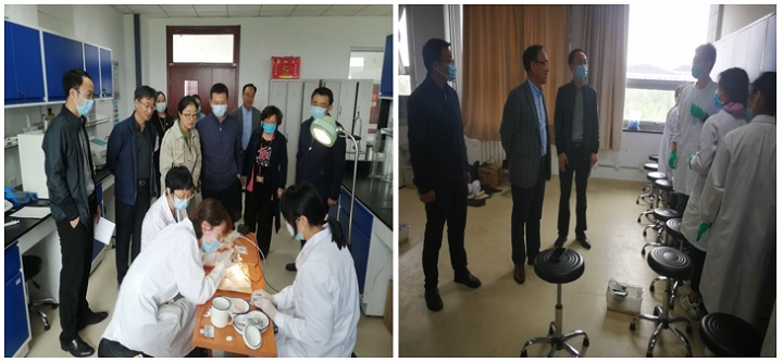 1601359294789074991.jpg aq2.jpg