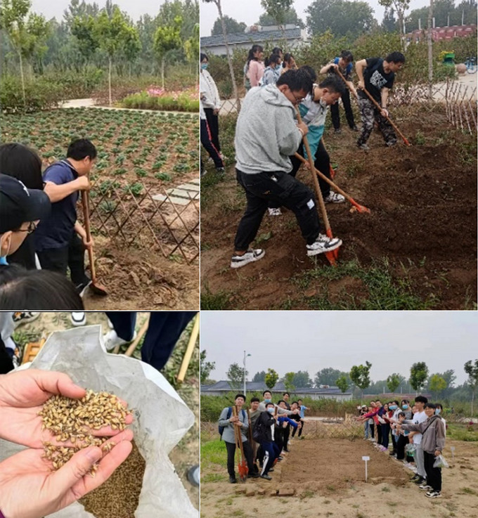 1667143785956061986.jpg 5.jpg