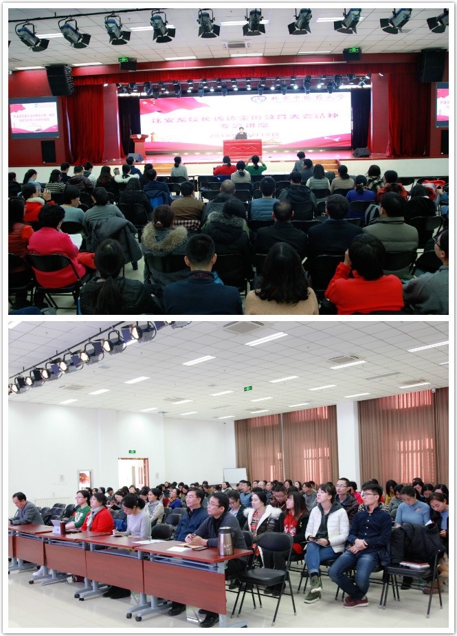 1545652236174069579.jpg x2.jpg