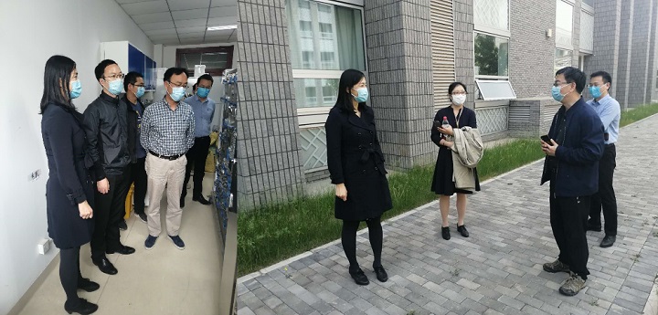 1589426483979026004.jpg 1.jpg