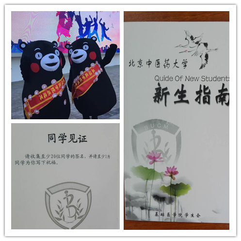 1474347647705005238.jpg image001.jpg