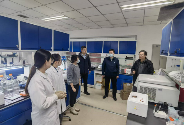 1735639818927031725.jpg 21.jpg